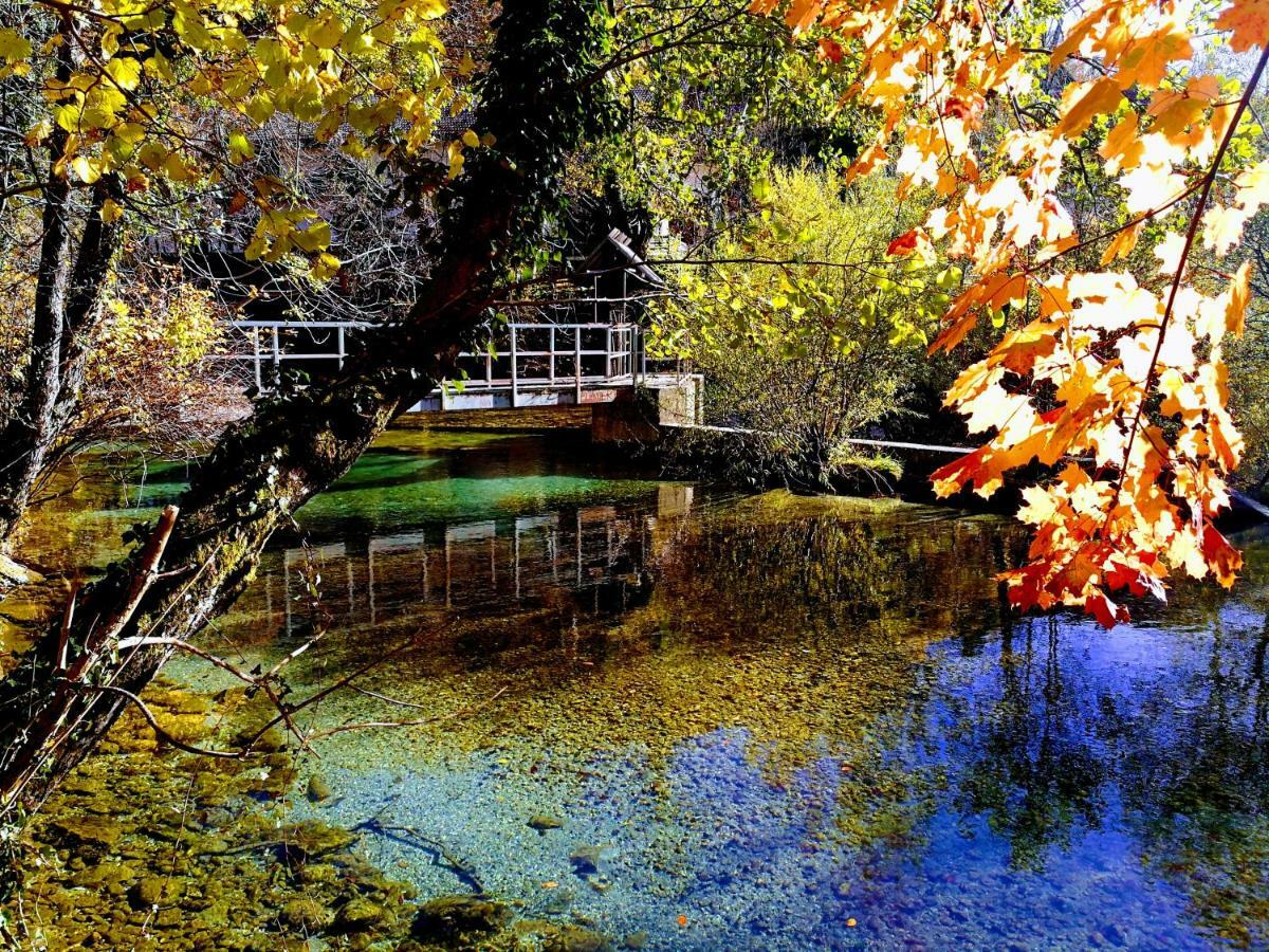 River House Hrib Preddvor Екстериор снимка
