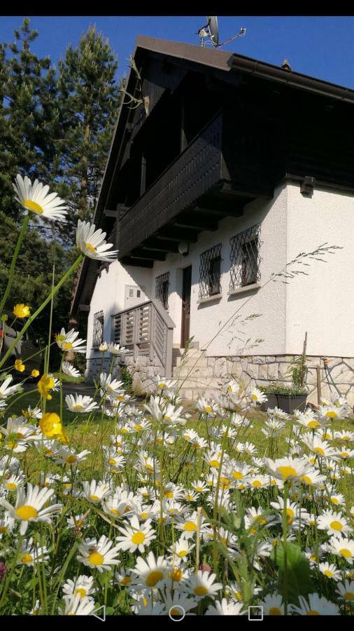 River House Hrib Preddvor Екстериор снимка